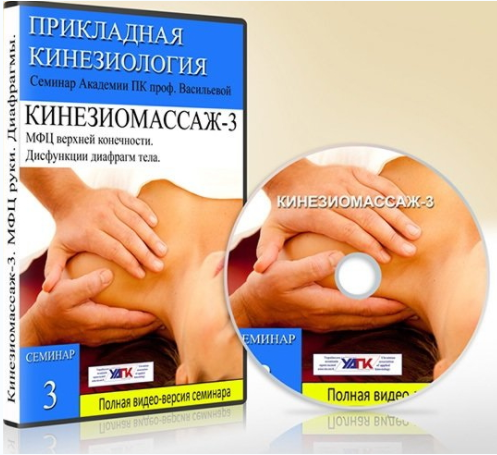 Кинезиомассаж - 3. Мышечные цепи плечевого пояса -_0.png